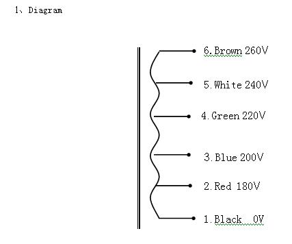 Toroidal Auto Transformer