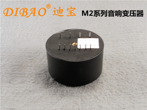 M2ϵ׃