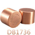 1+1:1+1ĪϽl׃-DB1736